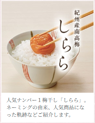 ume6